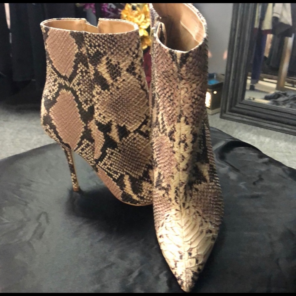 Steve Madden booties in snakeskin